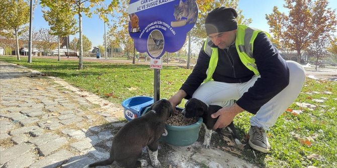 Hayvan dostu belediye sokaklardan mama ve suyu eksik etmiyor