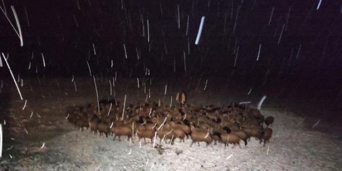 Kars Yahni Dağı’nda mahsur kalan çoban ve sürü kurtarıldı