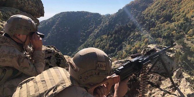 Ağrı ve Iğdır'da 'Eren Kış-9 Şehit Jandarma Uzman Çavuş Hüseyin Keleş' operasyonu başlatıldı