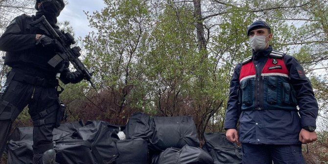 Muğla'da Arnavutluk'tan getirilen 1,5 ton skunk ele geçirildi