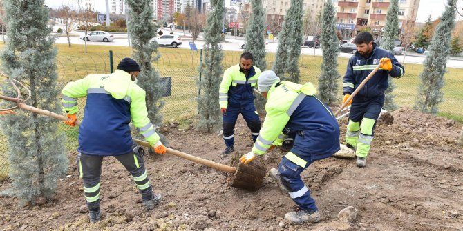 Ankara Büyükşehir Belediyesi 70 bin ağaç dikmeyi hedefliyor