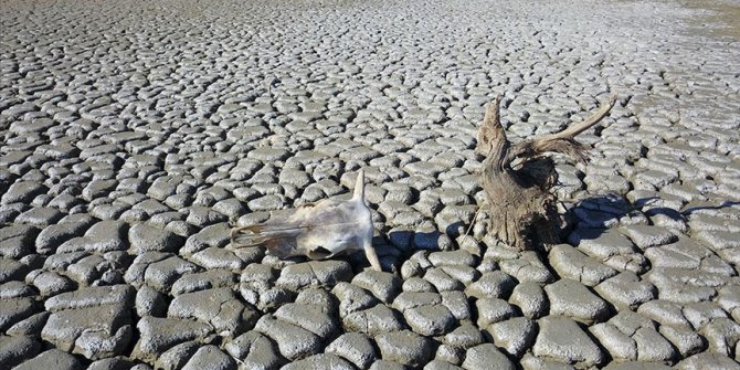 Dünyanın 'karakutusu' insanlığın iklim karnesini arşivleyecek