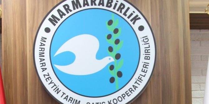 Marmarabirlik ortaklarına 40,3 milyon lira ödeme yapacak