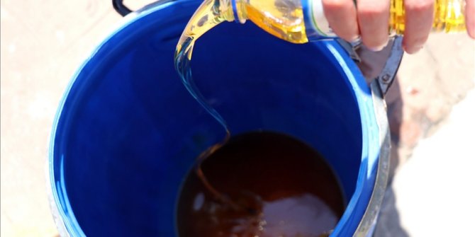 Atık kızartma yağları 'ormana dönüşecek'
