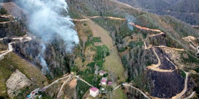 Doğu Karadeniz'de 22 noktadaki örtü ve orman yangınları söndürüldü