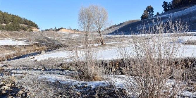 Doğu Anadolu'da en düşük sıcaklık Ardahan'da ölçüldü