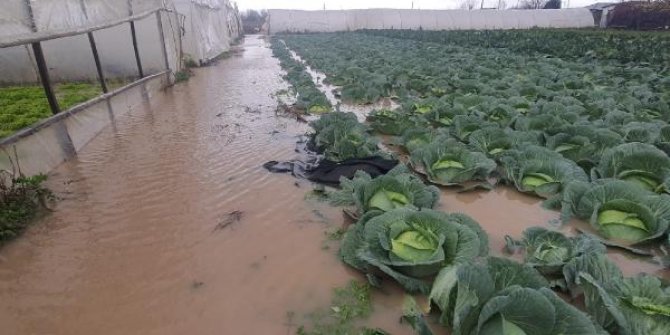 Biga'da sağanak günlük yaşamı olumsuz etkiledi; seraları sular altında bıraktı