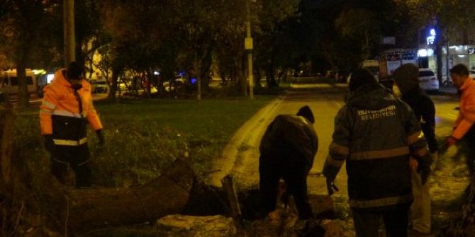 İzmir'de şiddetli rüzgar etkili oldu, ağaçları kökünden söktü