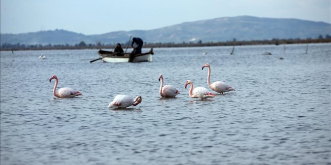 Yağmurlar, kuraklığın etkilediği Bafa Gölü'ne yaradı