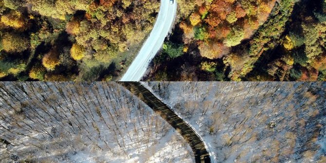 Bolu'daki ormanlarda iki mevsim tek karede birleşti