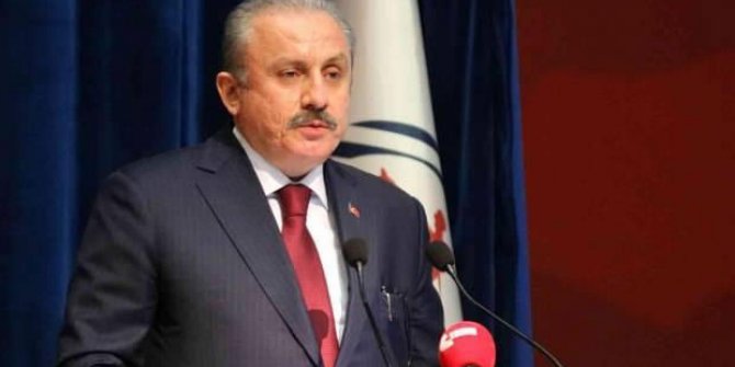 TBMM Başkanı Şentop: Karşılığını bulacaklar