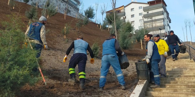 Keçiören Belediyesi’nden ağaçlandırma seferberliği