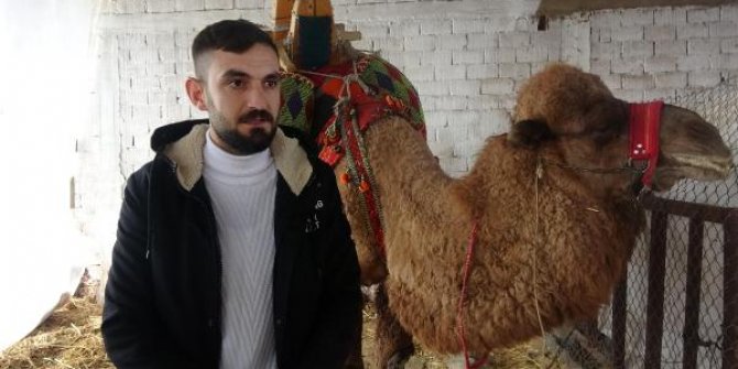 Babasının kredi borcu nedeniyle güreş devesi haczedildi