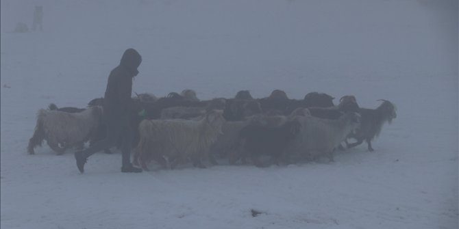 Ağrı'da termometreler gece sıfırın altında 26 dereceyi gösterdi