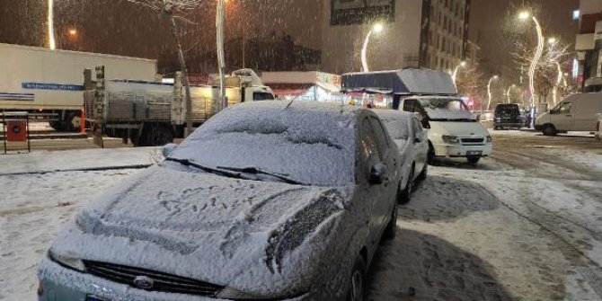 Van'da kar yağışı etkili oldu