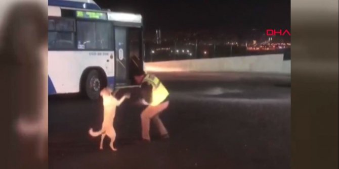 EGO şoförünün köpekle eğlenceli anları kamerada