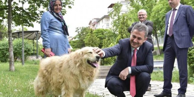 Mamak'ta sokak hayvanlarını sahiplenenlere 500 TL destek