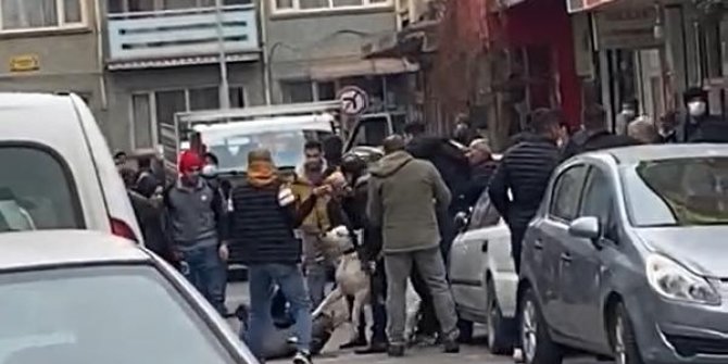 Malatya'da 'pitbul'lu kavga kamerada; 3 yaralı