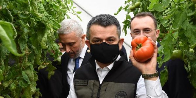 Bakan Pakdemirli: Seralarda üretim arttığında fiyatlardaki dalgalanma azalacak