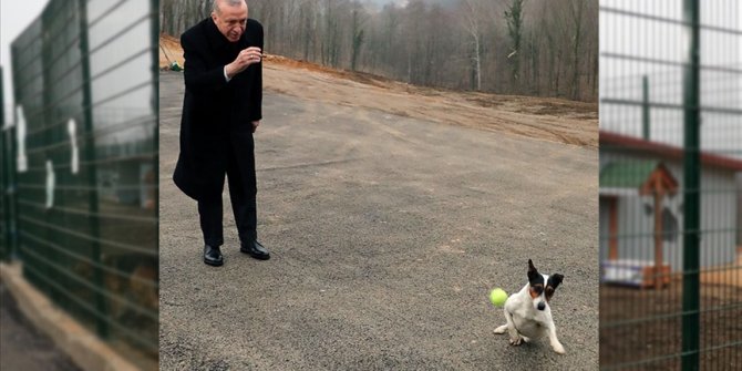 Erdoğan, Beykoz Belediyesi Hayvan Rehabilitasyon Merkezini ziyaret etti