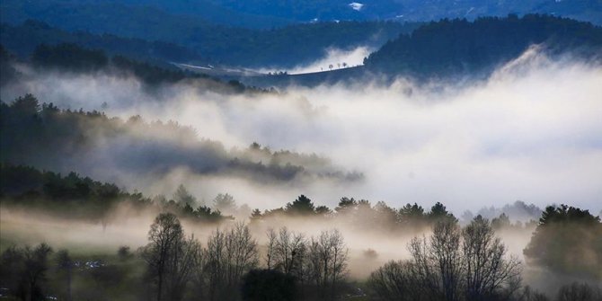Ilgaz Dağı'nda sis havadan görüntülendi