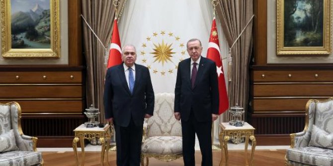Cumhurbaşkanı Erdoğan, Yunanistan Büyükelçisi'nin güven mektubunu kabul etti