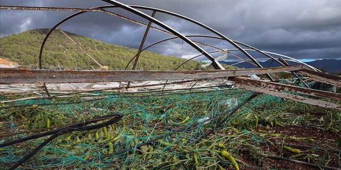 Karadeniz'de doğal afetlerde zarar gören çiftçilere 50 milyon lira ödeme yapıldı