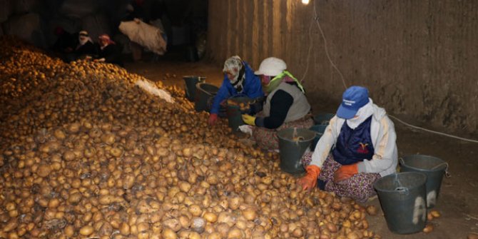 Mağarada saklı lezzet 'Sandıklı patatesi'