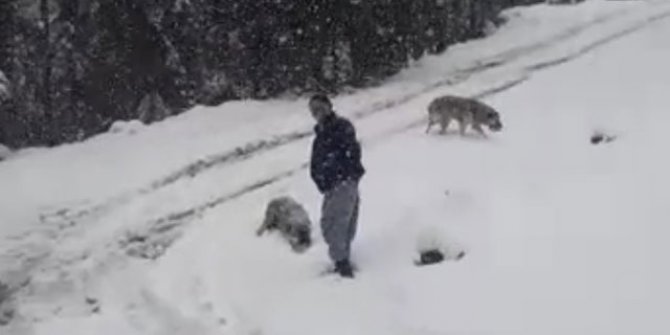 Hayvanlara yem vermeye gittiler, mahsur kaldılar