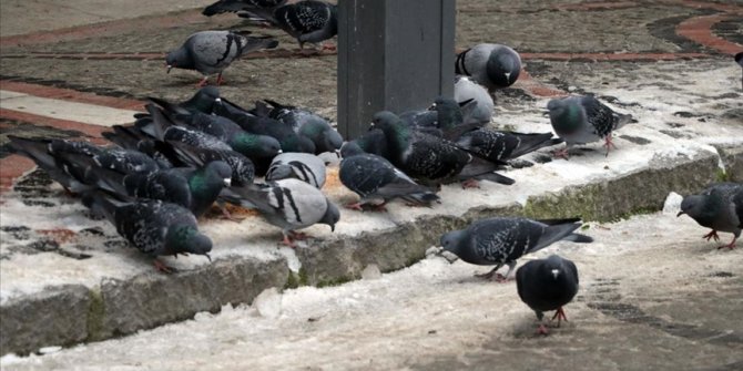 Trakya'da soğuk hava etkili oluyor