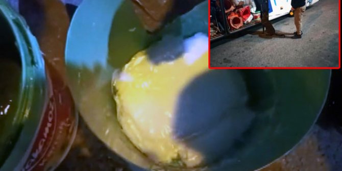 Bal kovalarının arasındaki uyuşturucuyu 'Barbara' buldu