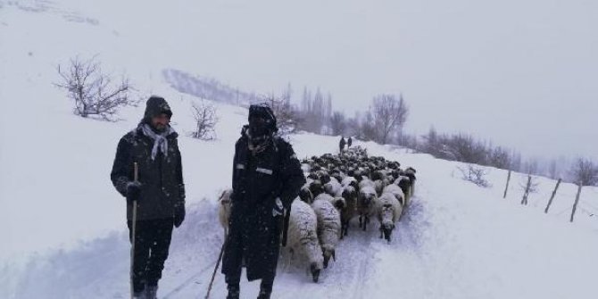 Yaylada mahsur kalan çoban ve sürüsü için 3 saatlik mücadele