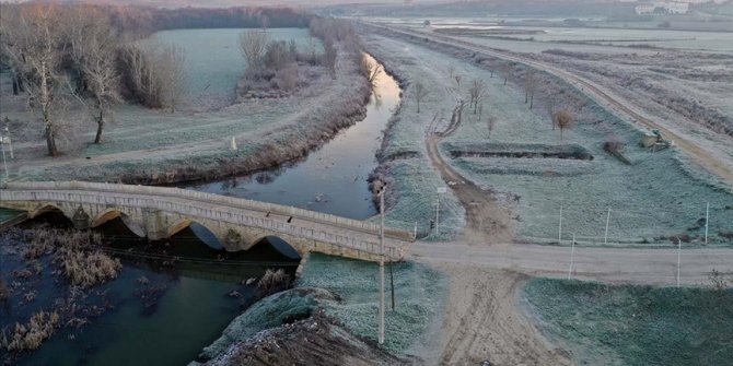 Edirne'de soğuk hava nedeniyle tarlalar buzla kaplandı