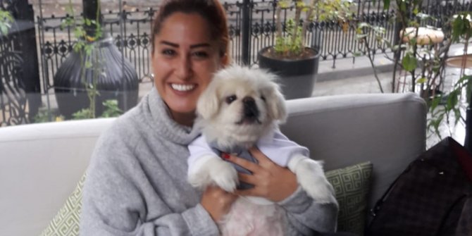 Köpeği ölünce mesleğini bırakan avukat resimle hayata bağlandı