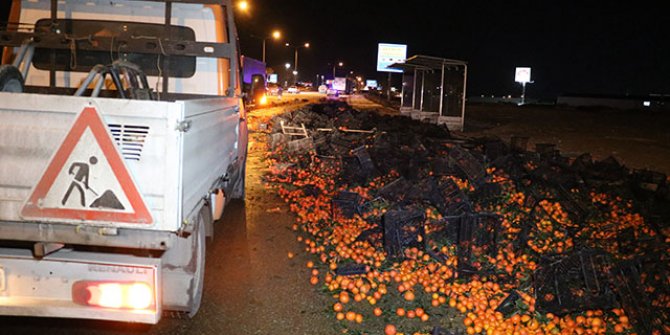 TIR'ın dorsesindeki tonlarca mandalina yola saçıldı