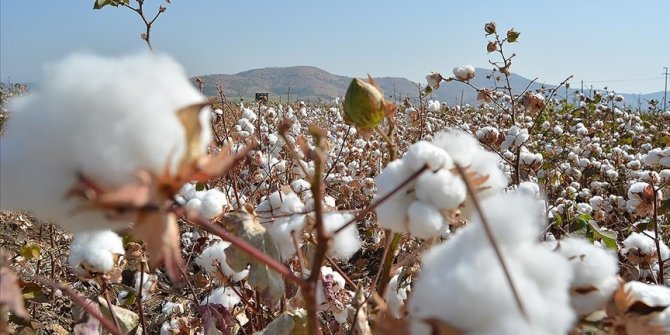 Emtia fiyatları ralliler eşliğinde zirve tazeledi