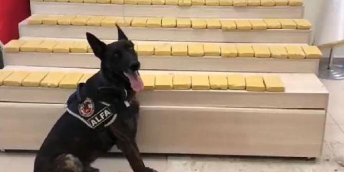 Narkotik köpeği 'Alfa'ya emniyetten duygulandıran veda