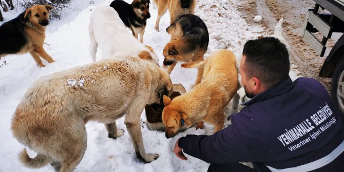 Yenimahalle Belediyesi, işletmelere çağrıda bulundu