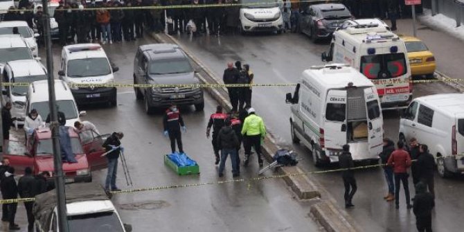 Van'da otomobilde ve aracın yakınında 2 ceset bulundu; 1 kişi gözaltında