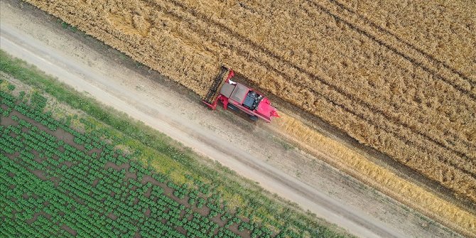 Tarımsal desteklere 3,2 milyar liralık ilave kaynakta öncelik stratejik ürünlerin