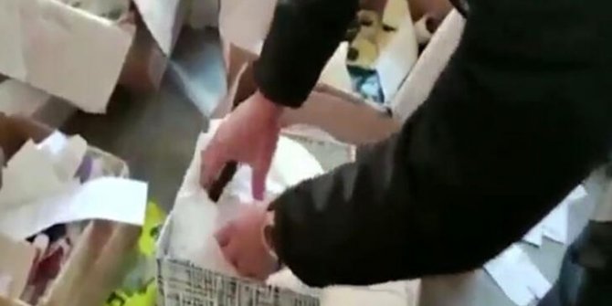 İstanbul'da sahtecilik operasyonları