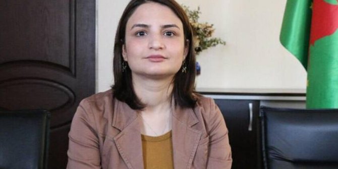 DBP İl Başkanı Seval Gülmez tutuklandı