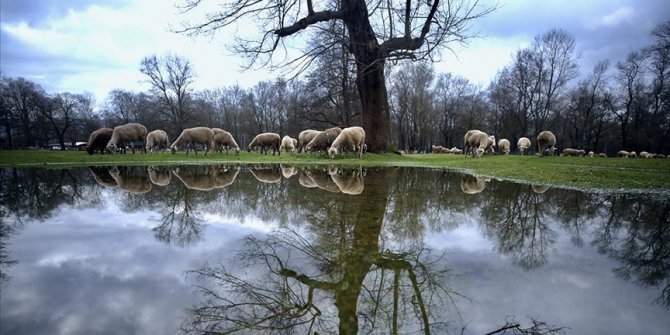 Gölyaka Kültür Park'ında bazı alanlar karların erimesiyle su altında kaldı