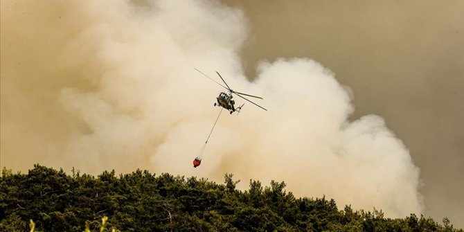 Orman yangınlarıyla mücadelede uluslararası iş birliği hedefleniyor