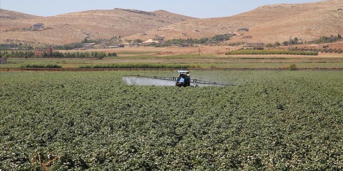 Tarım Kredi gübre fiyatlarında yüzde 30'a varan indirim yaptı