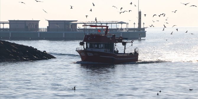 Tekirdağ'daki küçük tekne balıkçıları "karides" peşinde