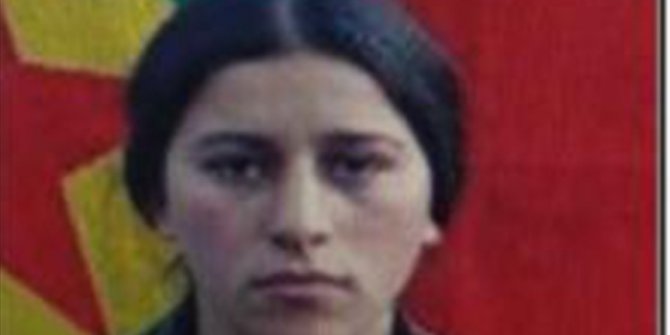 Hakkari'de 8 kişinin şehit olduğu saldırının failinin yer altı mağarasında etkisiz hale getirildiği belirlendi