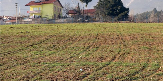 Son yağışlar Karabük'te çiftçinin yüzünü güldürüyor