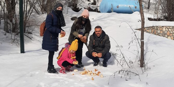 Başkentli gazeteciler doğaya yem bıraktı