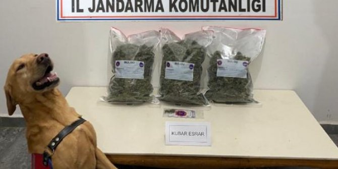 'Tatbik' araçtaki 2,5 kilo esrarı buldu